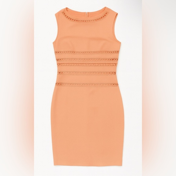 Antonio Melani Estelle Dress Size 10 Persimmon Sleeveless Sheath - Picture 2 of 9